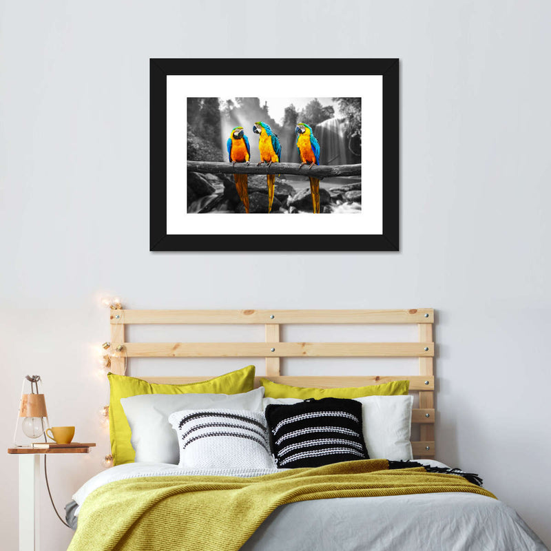 Macaw Friends Pop Wall Art