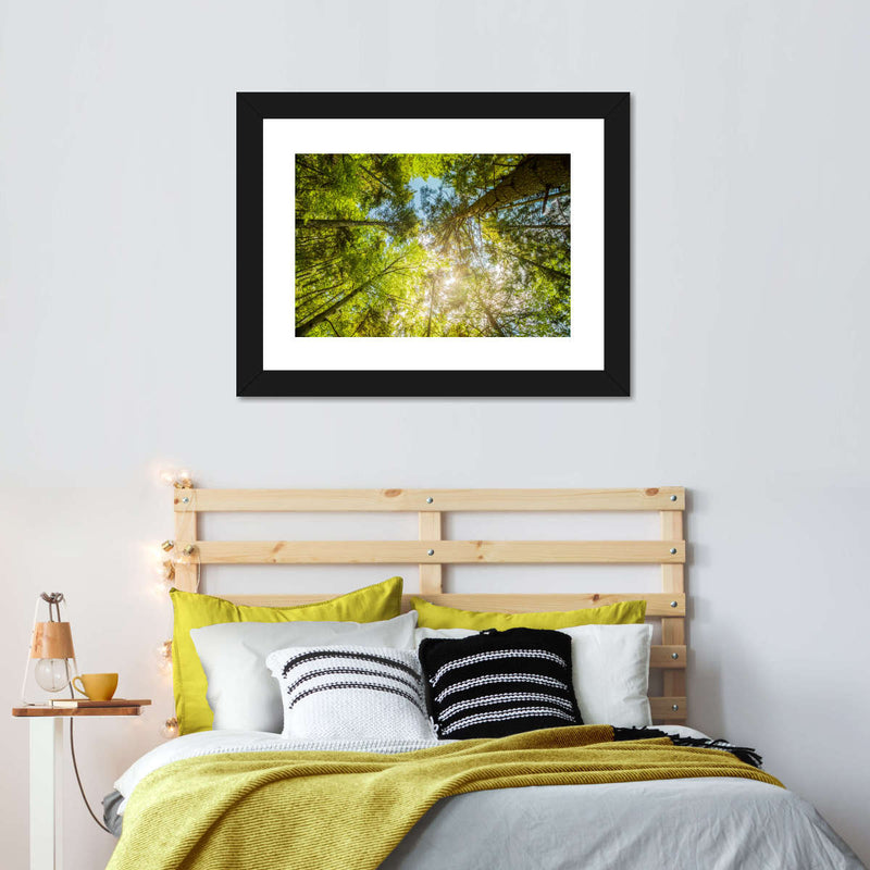 Tree Top Wall Art