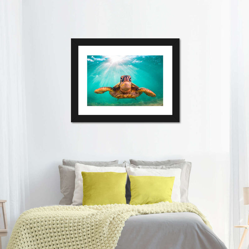 Maui Green Turtle Wall Art