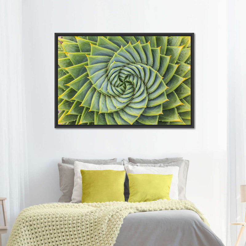 Spiral Succulent Wall Art