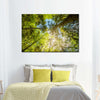 Tree Top Wall Art