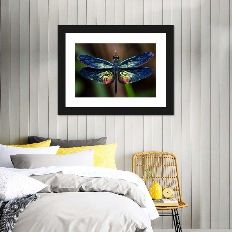 Prismatic Dragonfly Wall Art