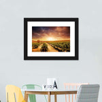 Vineyards Wall Art