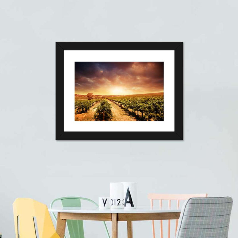 Vineyards Wall Art