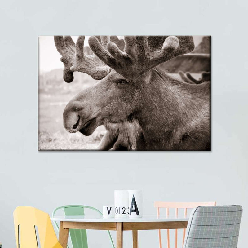 Moose Head Wall Art