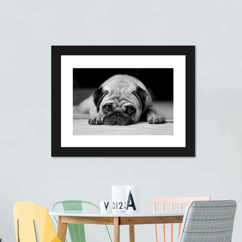 Sad Pug Wall Art
