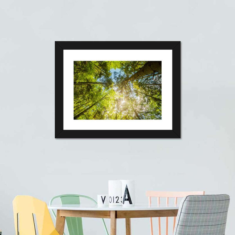 Tree Top Wall Art