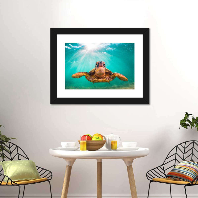 Maui Green Turtle Wall Art