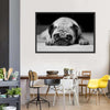 Sad Pug Wall Art
