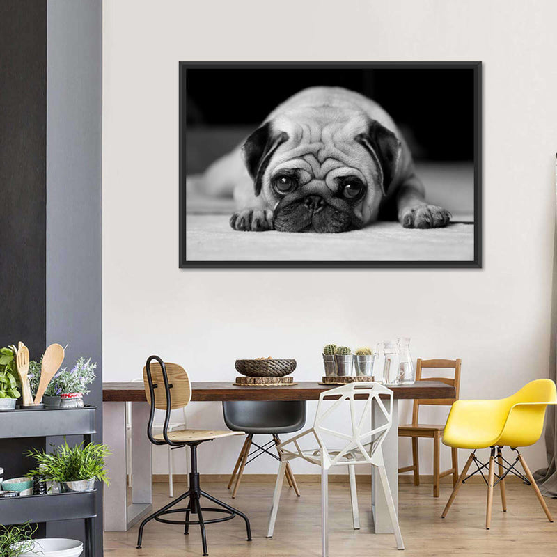 Sad Pug Wall Art