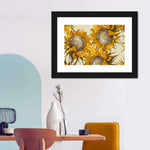 Yellow Sunflowers Wall Art