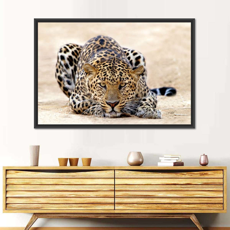 Watchful Jaguar Wall Art