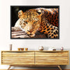 Leopard Gaze Wall Art