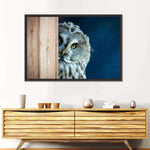 Peeking Owl Wall Art