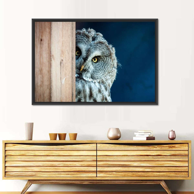 Peeking Owl Wall Art