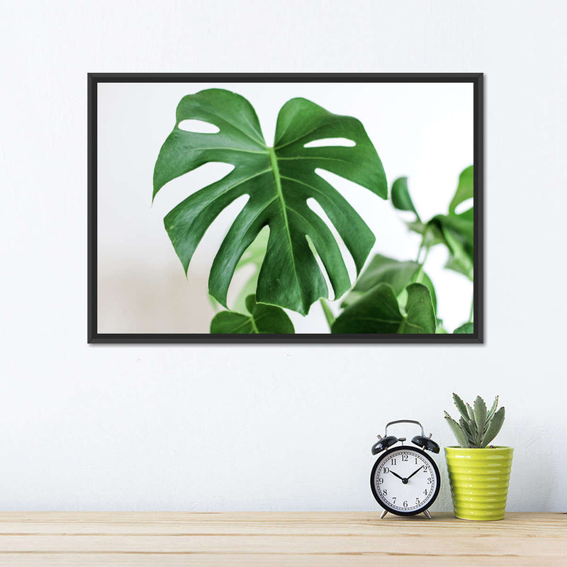 Monstera Leaf Wall Art