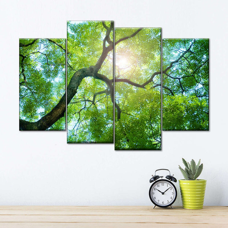 Tree Canopy Sunshine Wall Art