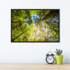 Tree Top Wall Art