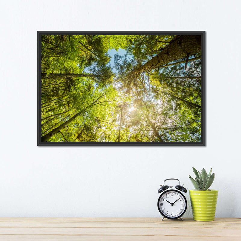 Tree Top Wall Art