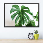 Monstera Leaf Wall Art