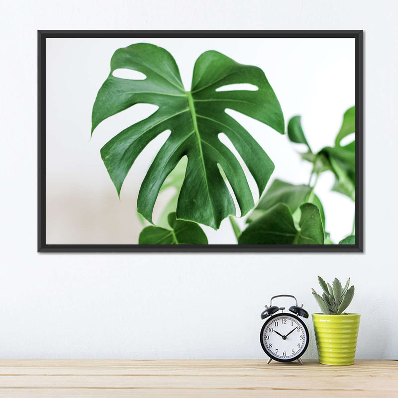 Monstera Leaf Wall Art