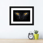 Yellow Eyed Cat Wall Art