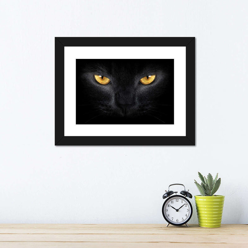 Yellow Eyed Cat Wall Art