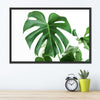 Monstera Leaf Wall Art