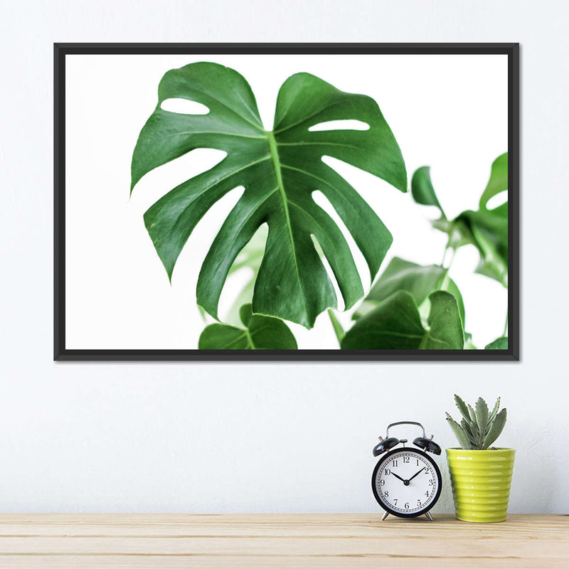 Monstera Leaf Wall Art