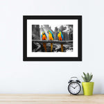 Macaw Friends Pop Wall Art