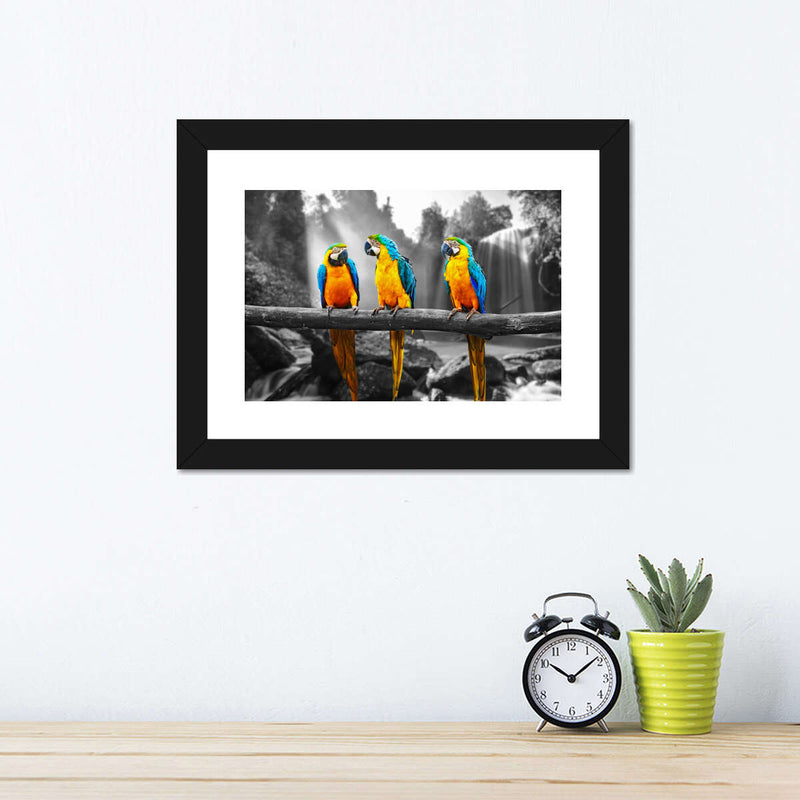 Macaw Friends Pop Wall Art