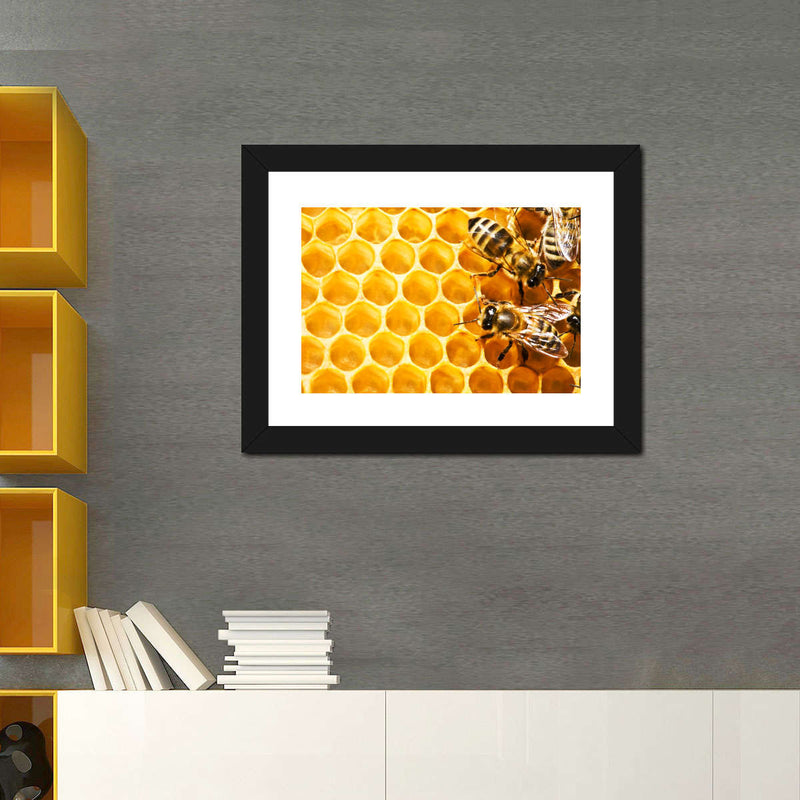 Honey Bee Hive Wall Art