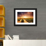 Vineyards Wall Art
