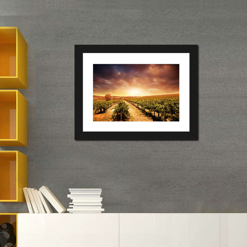Vineyards Wall Art