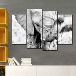 Kenyan Baby Elephant Wall Art