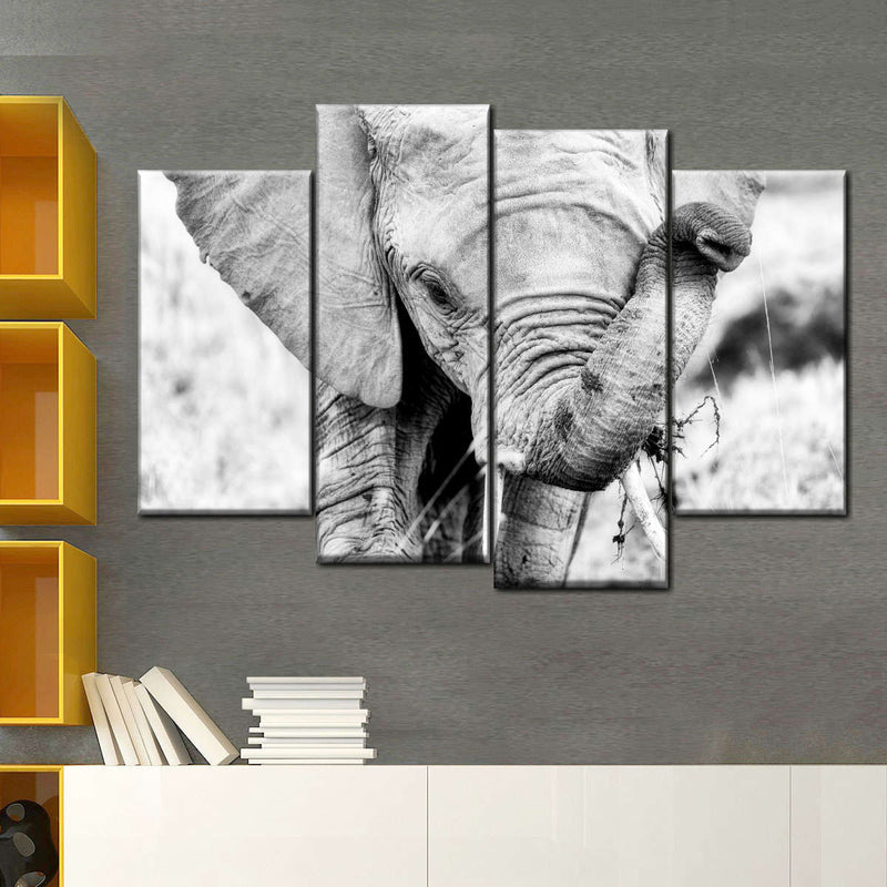 Kenyan Baby Elephant Wall Art