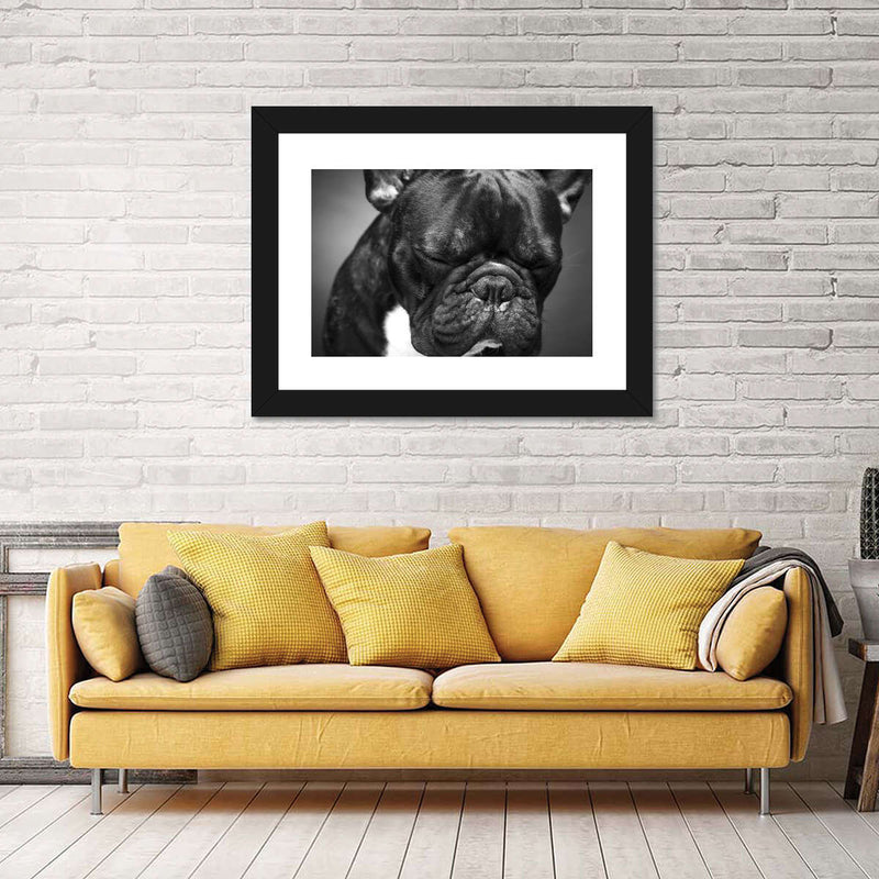 Melancholic French Bulldog Wall Art
