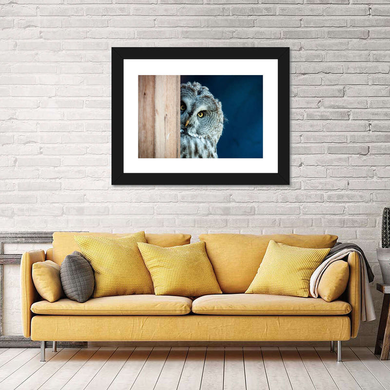 Peeking Owl Wall Art