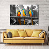 Macaw Friends Pop Wall Art