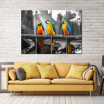 Macaw Friends Pop Wall Art