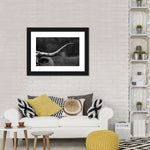 Texas Longhorn Cattle Wall Art