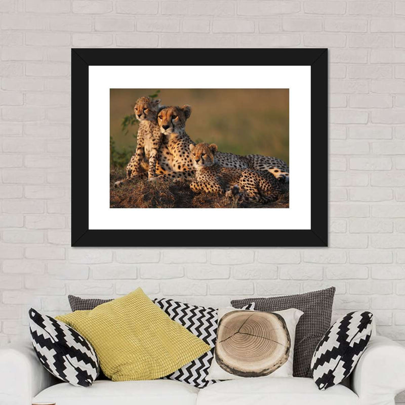Safari Cheetah Family Wall Art