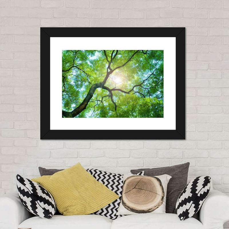 Tree Canopy Sunshine Wall Art