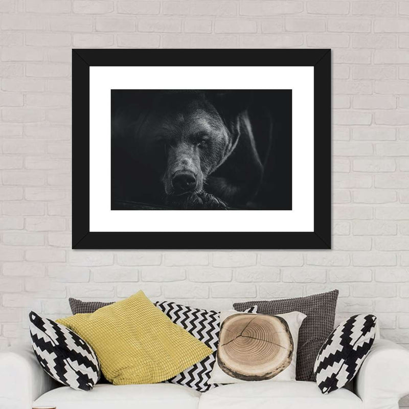 Monochrome Brown Bear Wall Art