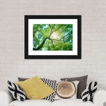 Tree Canopy Sunshine Wall Art