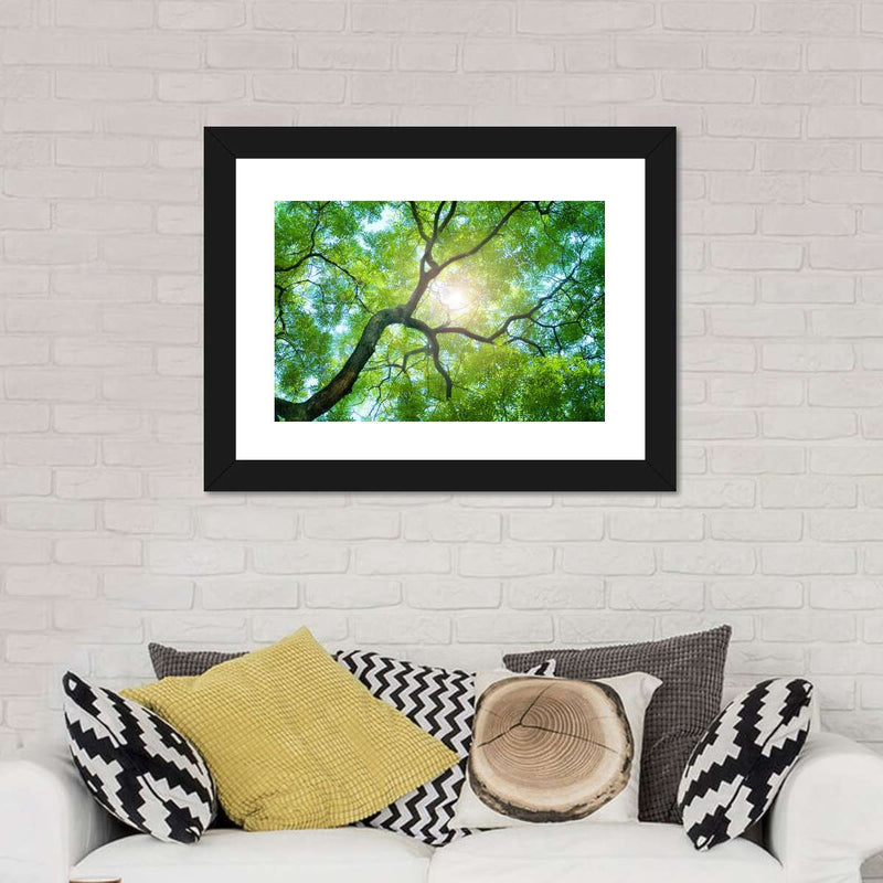 Tree Canopy Sunshine Wall Art