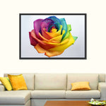 Rainbow Rose Wall Art