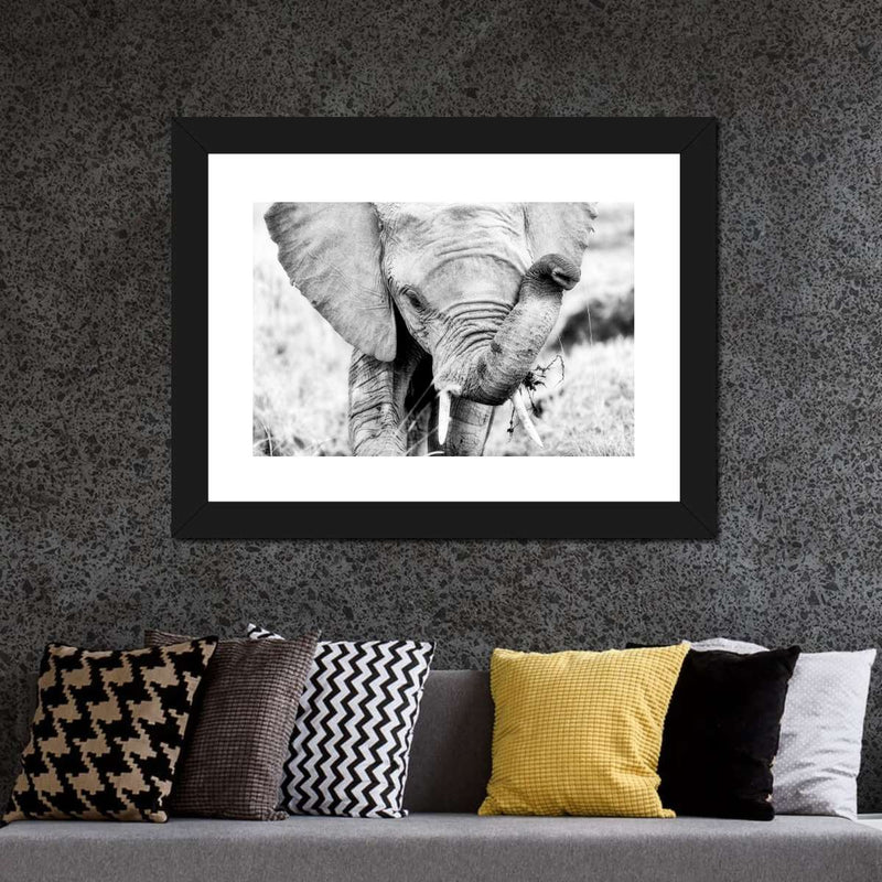 Kenyan Baby Elephant Wall Art