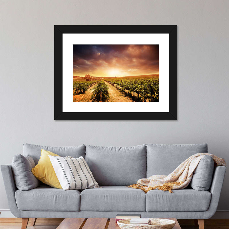 Vineyards Wall Art