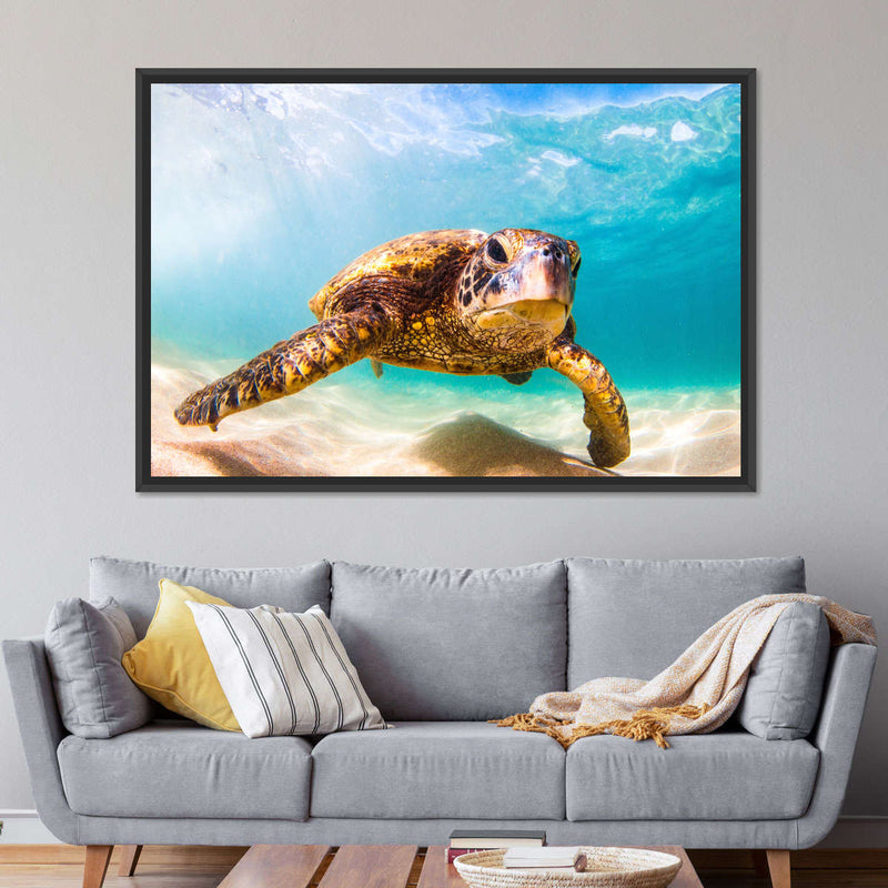 Hawaiian Turtle Wall Art